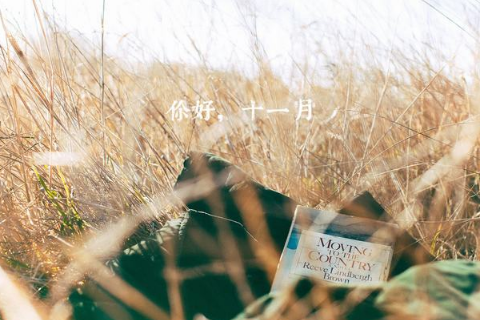 十一月第一天说说心情说说2022 今天是十一月第一