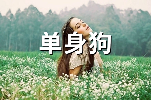 最新好听的快手网名(精选29句)