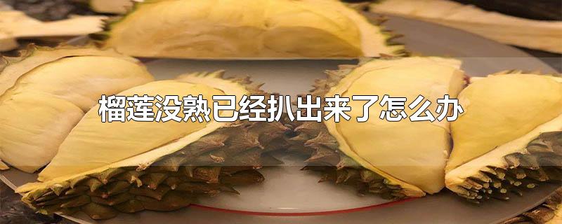 榴莲没熟已经扒出来了怎么办 榴莲没熟已经扒出来了怎么办