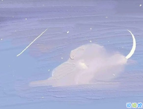 精辟的经典分手文案句子 深入人心的经典分手文(精选26句)