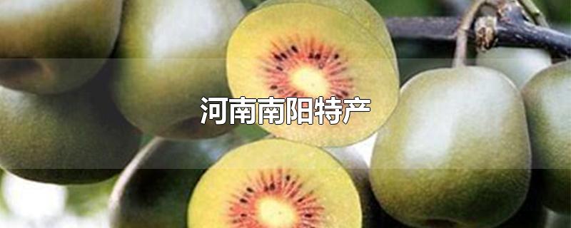 河南南阳特产 河南南阳特产