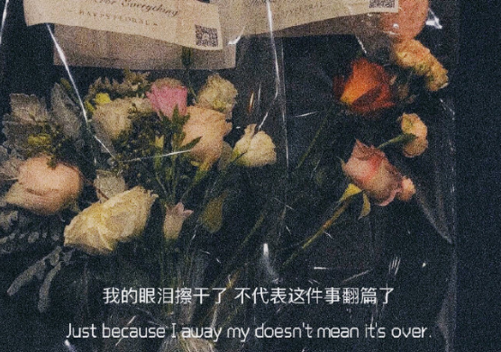  小红书热门伤感文案大全 点击量很高的发小红书(精选22句)