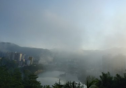 适合大雾天发的朋友圈 雾很大的搞笑说说句子(精选15句)