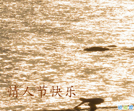 2021情人节表白成功的话 情人节超级甜蜜的表白文