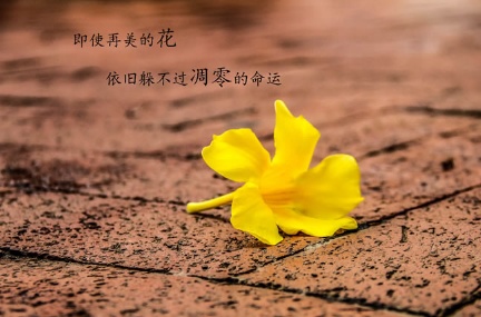 看后秒赞搞笑的空间说说大全2022最新 二是一种不