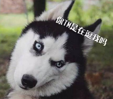 比较经典的青春校园搞笑说说大全 也试过在椅子(精选17句)