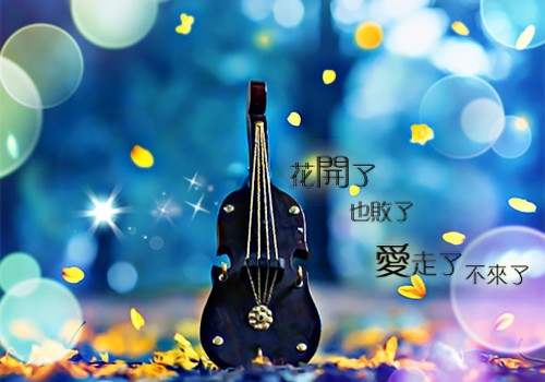 朋友圈笑到停不下来的搞笑句子说说(精选15句)