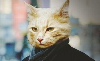 搞笑说说带图片qq空间说说合辑 赐我一个能听懂(精选19句)