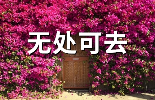 一个人无处可去的说说(46句)