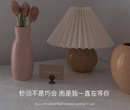 没有一个爱字却句句含情的文案 很含蓄的表达爱(精选22句)