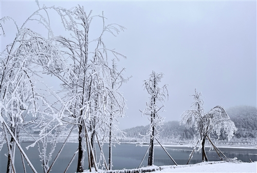 关于下雪时我们心情愉快的句子(精选31句)