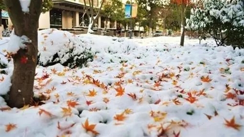 下雪了注意保暖的温馨句子(精选25句)