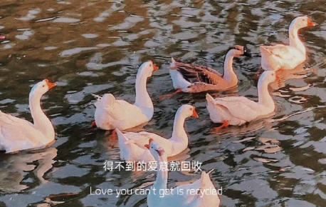 分手后发朋友圈的文案 在感情受伤的句子(精选26句)