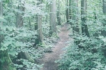 有关爱情的英文说说带翻译 I know I do not leave yo(精选27句)
