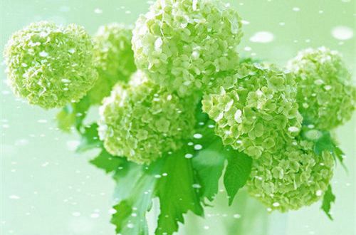 特别霸气特别拽的句子 帅气的句子简短(精选58句)