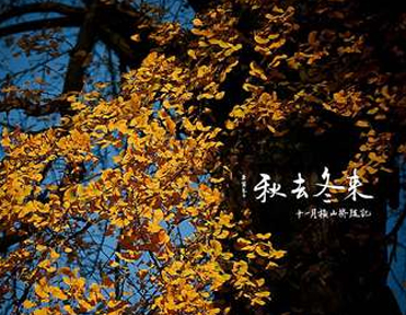 秋去冬来的文案唯美又好听 秋去冬来落叶的唯美(精选22句)