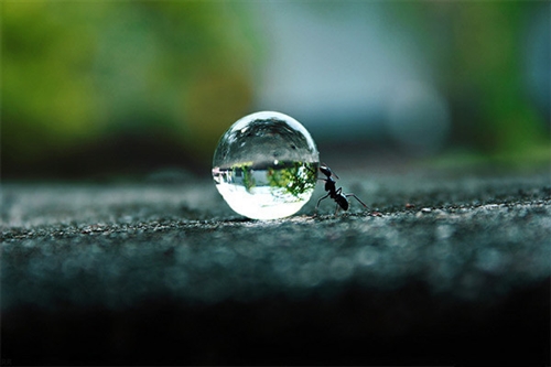 朋友圈的搞笑说说：向阳花木易为春，听说你爱(精选15句)