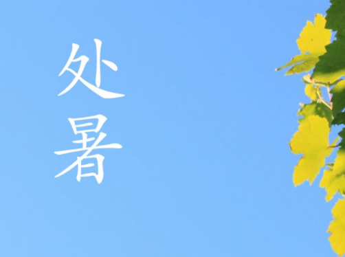 处暑最经典的又好听的祝福语 处暑节节气温馨句(精选22句)