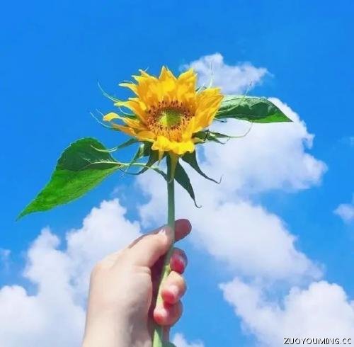 毕业留言的唯美句子：我愿你前程似锦，哪怕前(精选18句)