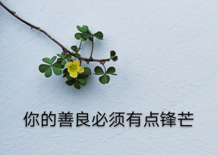 抖音文案怎么写吸引人 抖音配文吸引人的文案(精选24句)