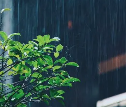 表达雨很大的搞笑说说带图片 像若曦罚跪御花园(精选22句)