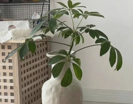 很特别的也很温柔的励志语录 全新写给自己的励(精选24句)