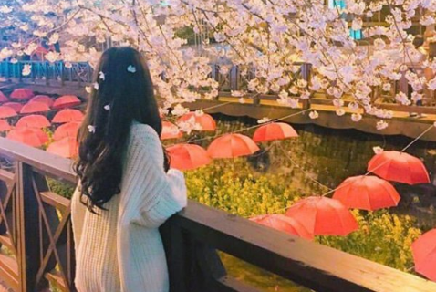 让女朋友暖心的qq空间说说2022 让女朋友开心的句