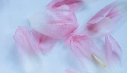 空间说说经典语录大全 祈祷自己变得更加坚强(精选28句)