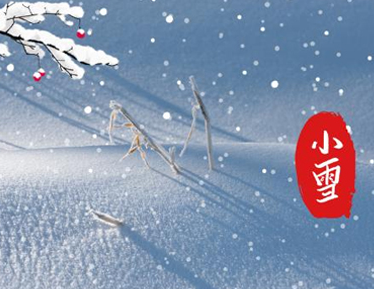关于小雪节气发朋友圈的心情说说 小雪节气的超(精选22句)