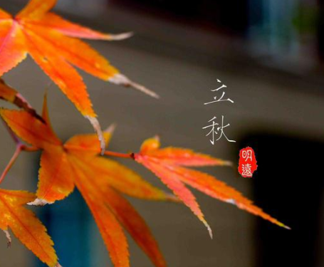 立秋问候客户简单祝福最新 立秋节日给客户的祝(精选22句)