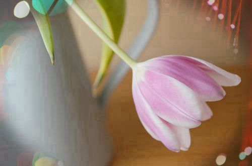 江湖豪气的句子 江湖豪迈的句子(精选32句)