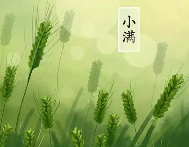 2021小满的空间早安说说 小满节气早安祝福语