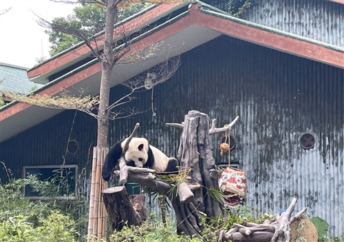 去动物园发朋友圈的句子(精选29句)