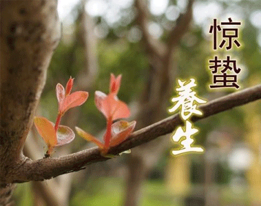 2021惊蛰简短祝福语说说 惊蛰时节最暖心的微信祝