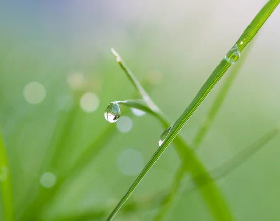 二十四节气雨水的早安说说 2021雨水节气发朋友圈