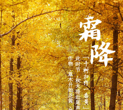霜降早安祝福朋友圈节日说说 微信早安问候语说(精选15句)