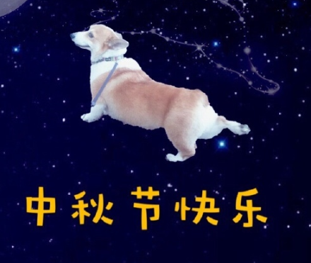关于中秋节的幸福说说 预祝你中秋快乐节后更快(精选13句)