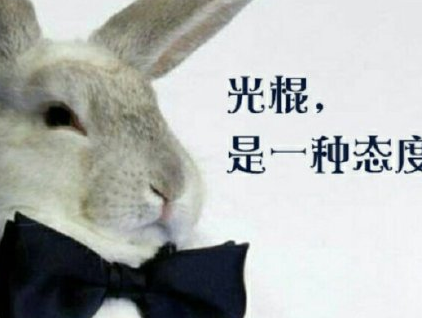 2022光棍节微信朋友圈说说大全 11.11光棍节的经典