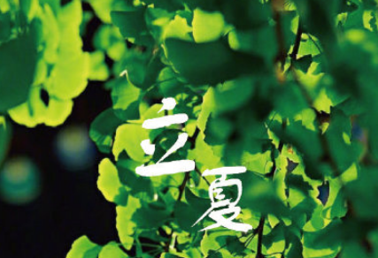 2022立夏微信朋友圈说说大全 最新立夏经典心情短