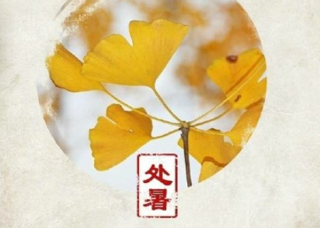 今日处暑的说说2022精选 处暑节气朋友圈说说经典