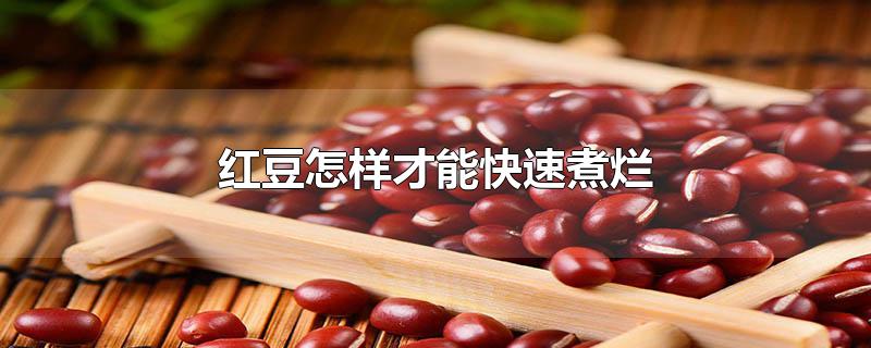 红豆怎样才能快速煮烂 红豆怎样才能快速煮烂