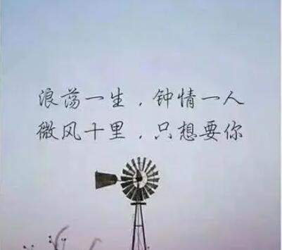 温柔清丽的女生网名大全(精选90句)