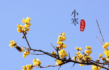 2022小寒朋友圈祝福说说大全 关于小寒的微信朋友
