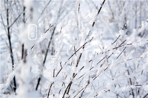 2022大雪节气朋友圈微信说说 关于大雪的微信朋友