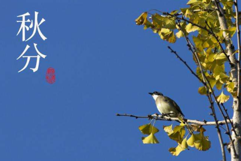 2022最新关于秋分的祝福句子说说 秋分节气祝福说
