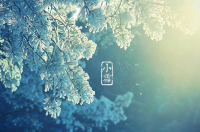 精选关于小雪的诗句说说 云暗初成霰点微(精选75句)