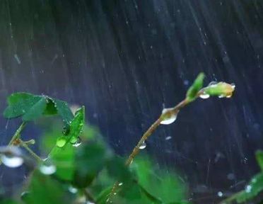 一场春雨一场暖的好听文案 2022绵绵春雨的唯美句