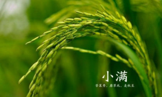 关于小满的经典说说 二十四节气小满说说(精选24句)