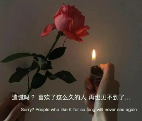 电视剧《流金岁月》亦舒精辟台词 最现实经典的(精选15句)
