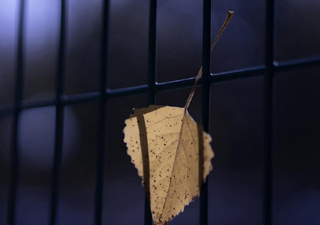 当代成年人的社交真相2022 教你如何社交的文案